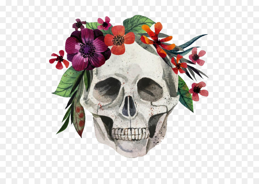 900x640 Calavera Skull Flower Painting Euclidean Vector