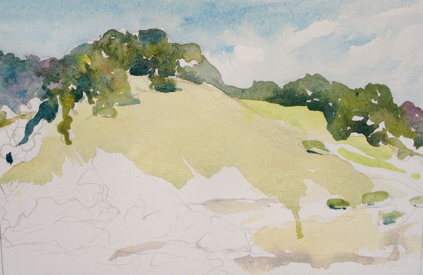 1383x900 Trees Creative Color