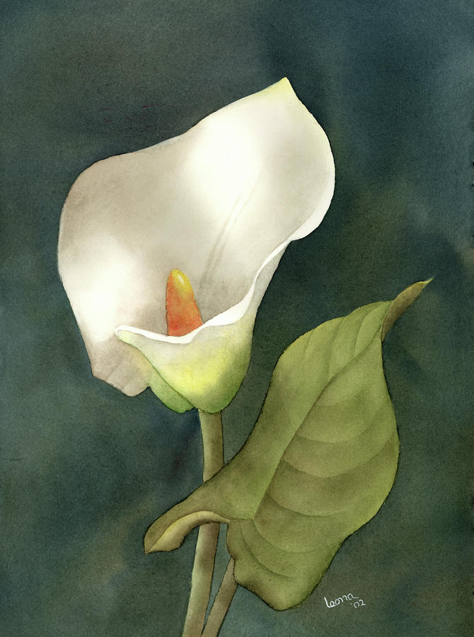 670x900 Calla Lily Painting By Leona Jones