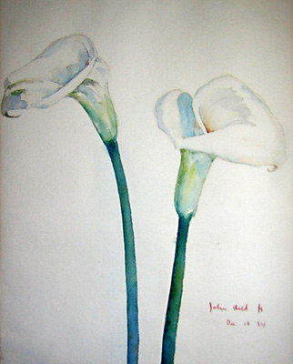322x400 Fine Art, Flower Composition, Calla Lilies, John Held, Vintage