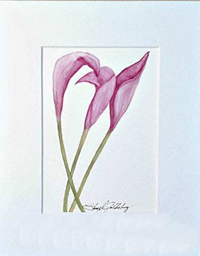 391x500 Calla Lily Watercolor Painting In 8x10 Ready To Frame