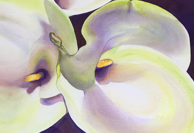 648x447 Giselle Ayupova Calla Lilies