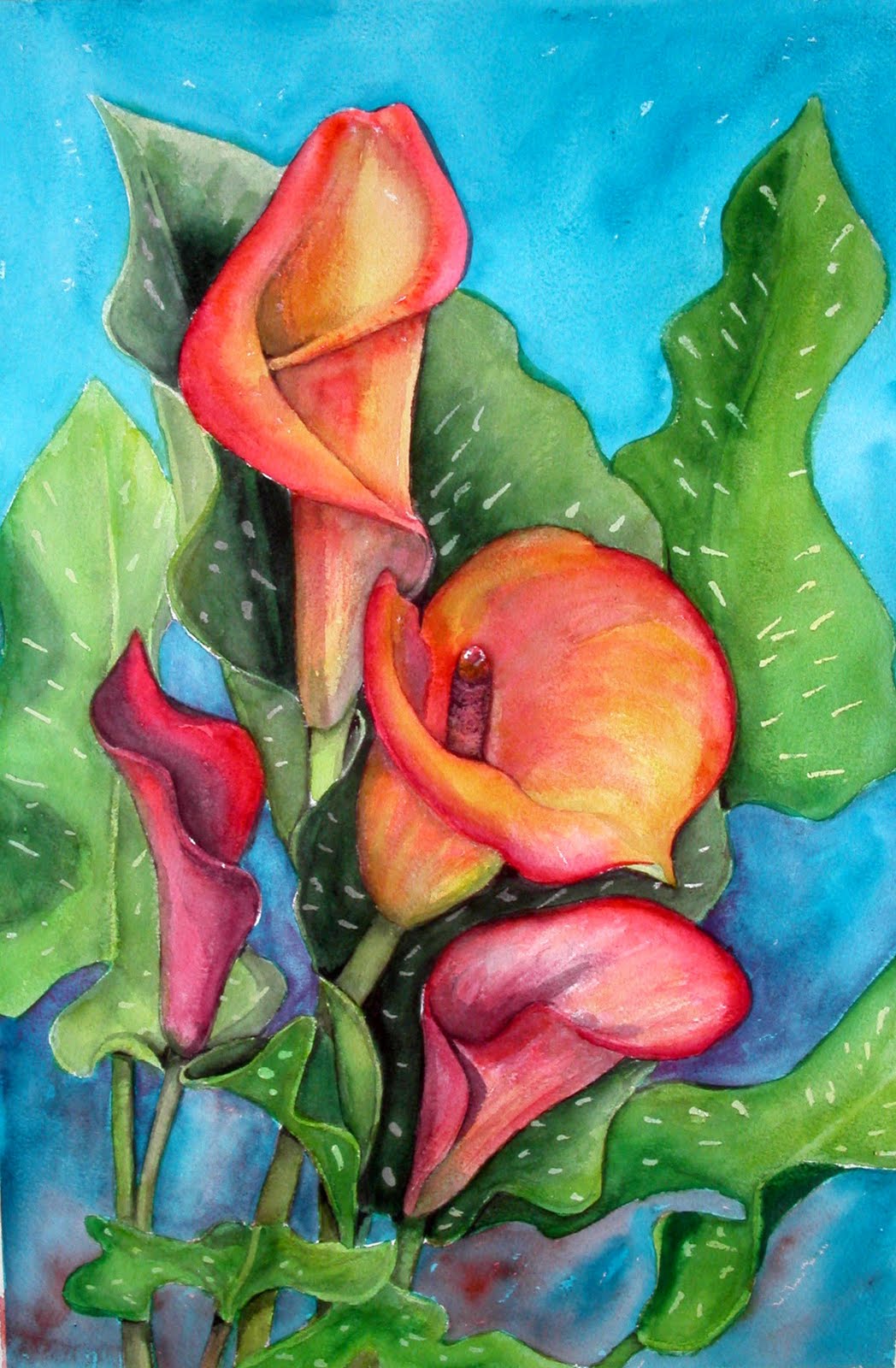 1048x1600 Still Coloring Out Of The Lines Flame Calla Lily