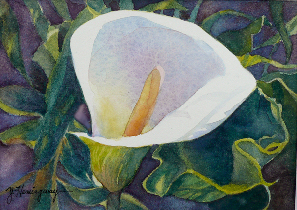 600x424 White Calla Lily Watercolor Painting
