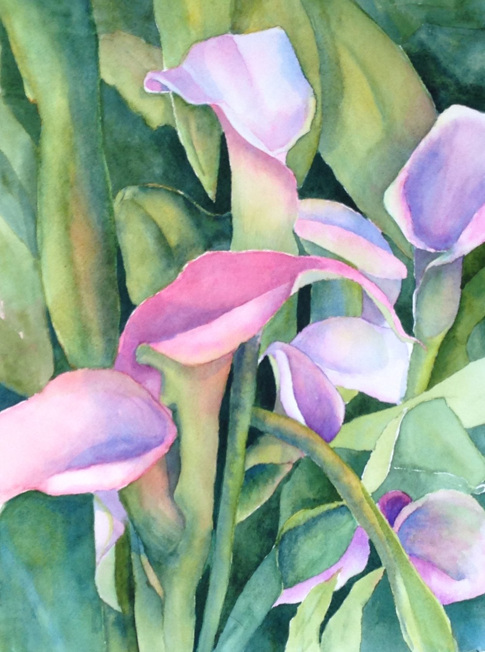 1000x1344 Calla Lilies, 11x14 Watercolor, Matted. Price Includes Shipping