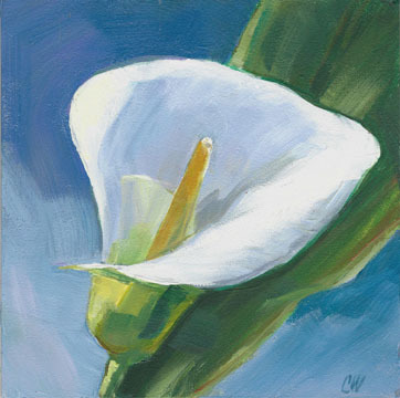 362x360 Calla Lily Original Painting 5x5 Inch White By Gallerymusings