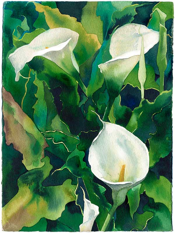 600x797 Artist James Maxwell