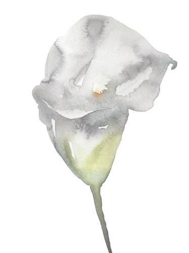 375x500 Saatchi Art Calla Lily No. 7 Painting By Elizabeth Becker