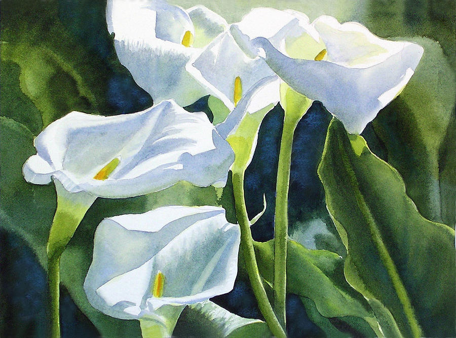900x666 White Calla Lilies Painting By Sharon Freeman
