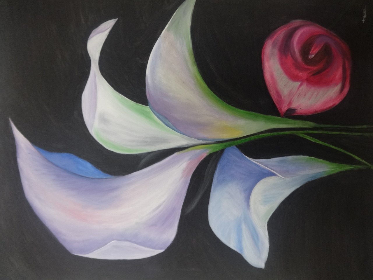 1280x960 Buy Pink And Blue Calla Lily Flowers Handmade Painting By Triveni