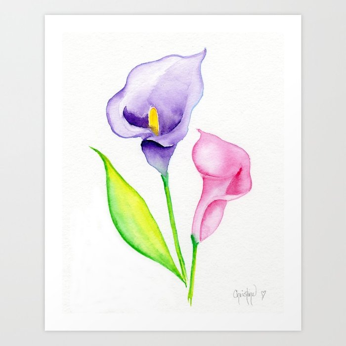 700x700 Calla Lilies Art Print By Christinecholowsky Society6