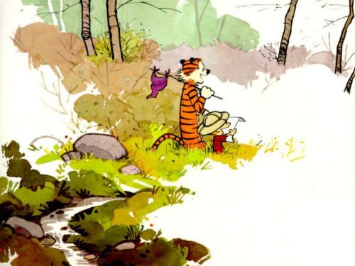 500x375 Calvin Amp Hobbes Watercolor
