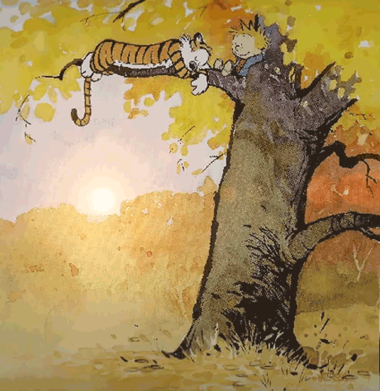 540x556 Calvin And Hobbes Gif