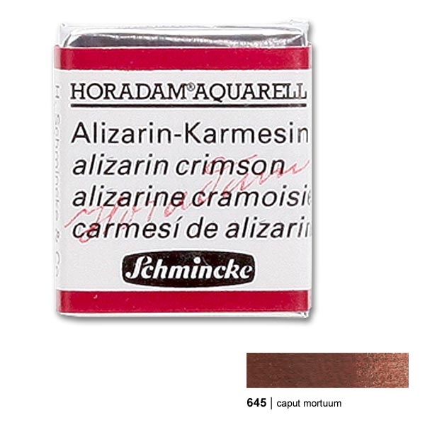 600x600 Horadam Watercolor 12 Pan Caput Mortuum