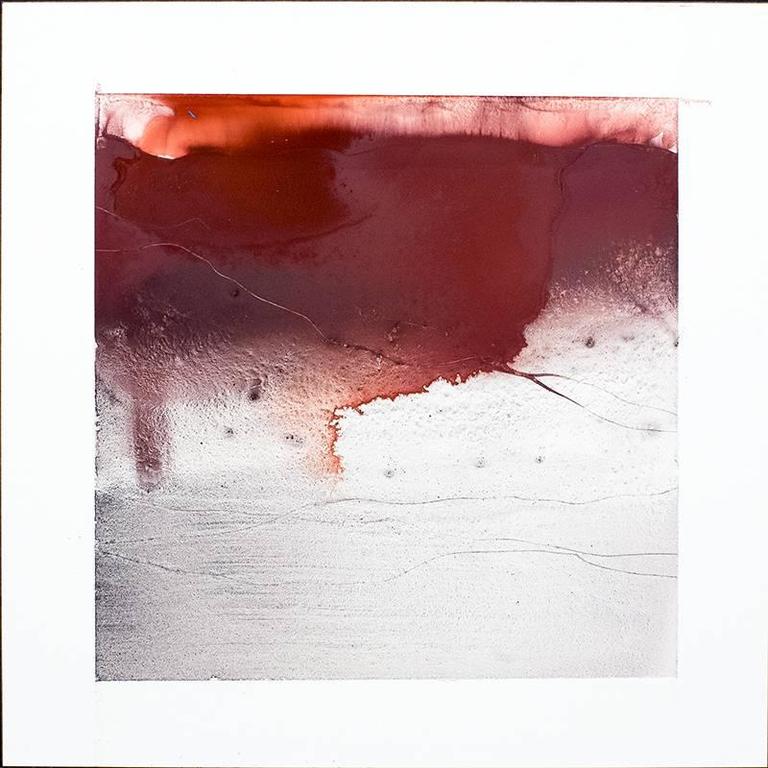 768x768 Nancy Charak