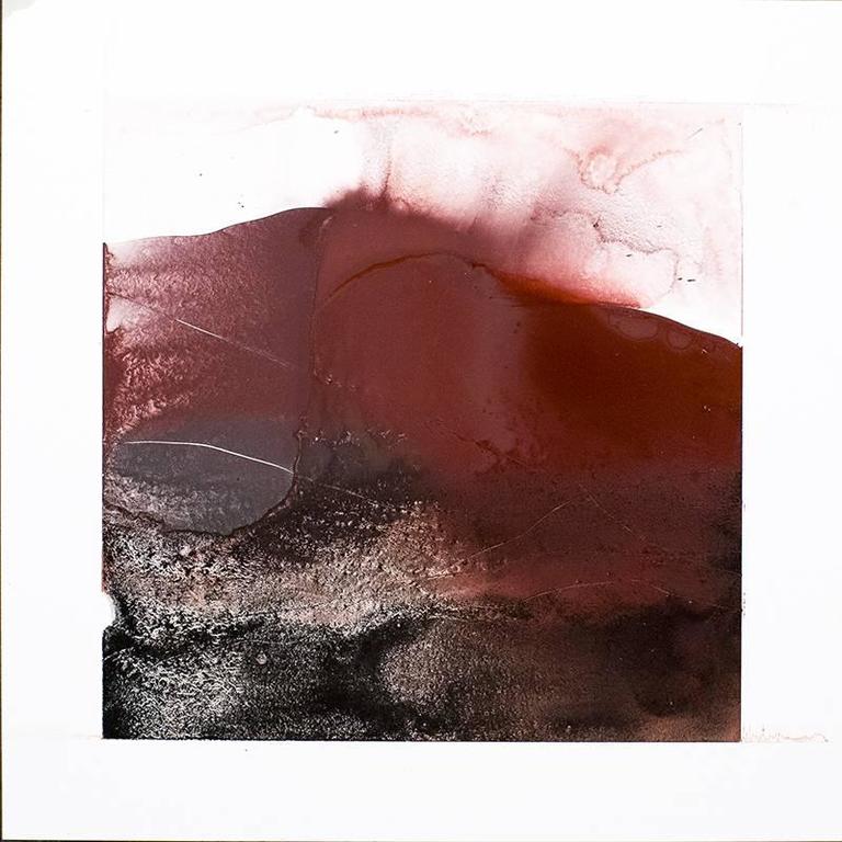 768x768 Nancy Charak