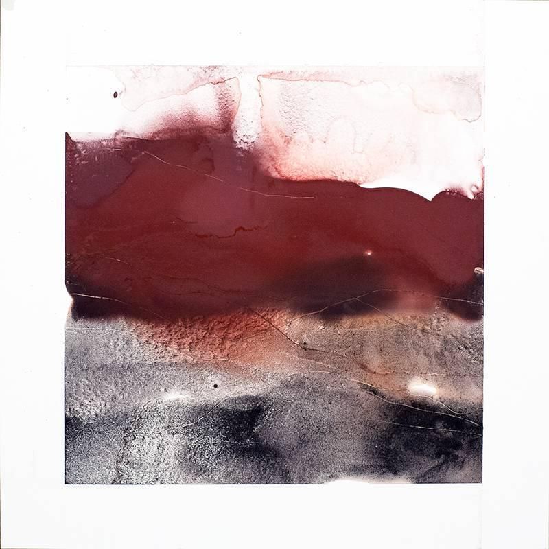 800x800 Nancy Charak