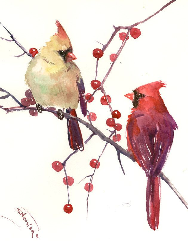 630x810 Male And Female Cardinal, Original Watercolor Painting, 14 X 11 In