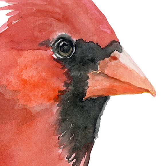 580x580 Red Cardinal Original Watercolor Painting Susan Windsor