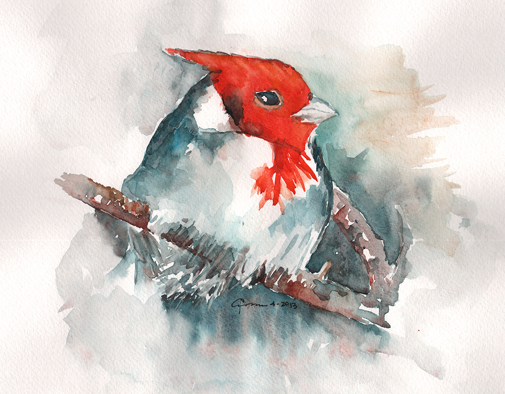 1000x781 Red Cowled Cardinal Watercolor Painting