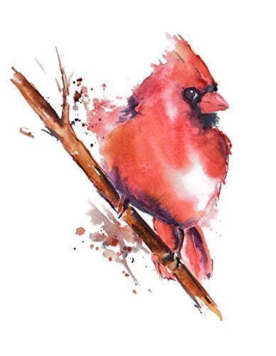 388x500 Cardinal Watercolor Art Print By Nancy Knight
