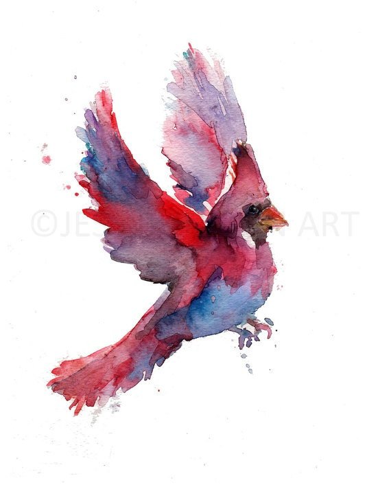 570x712 Cardinal Watercolor Painting Print Cardinal Watercolor Etsy