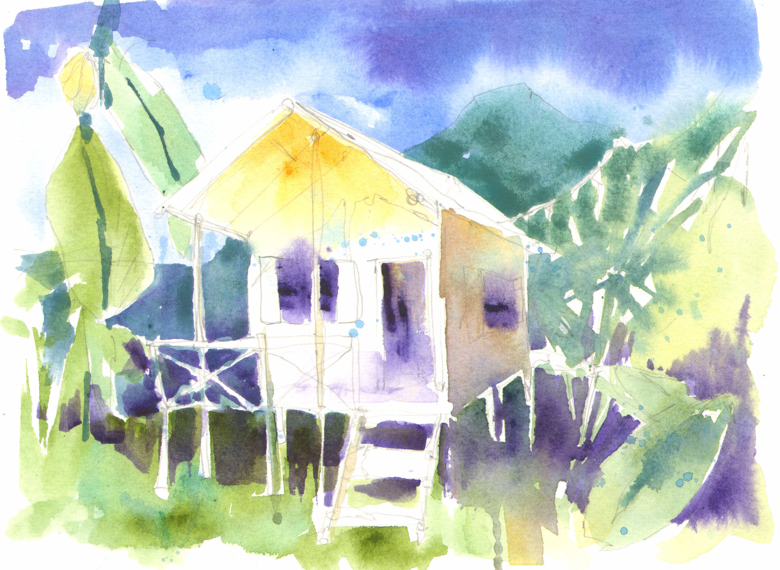 2693x1970 Frank Webb Palette Art Spirit Drawings Amp Paintings By Alison Fennell