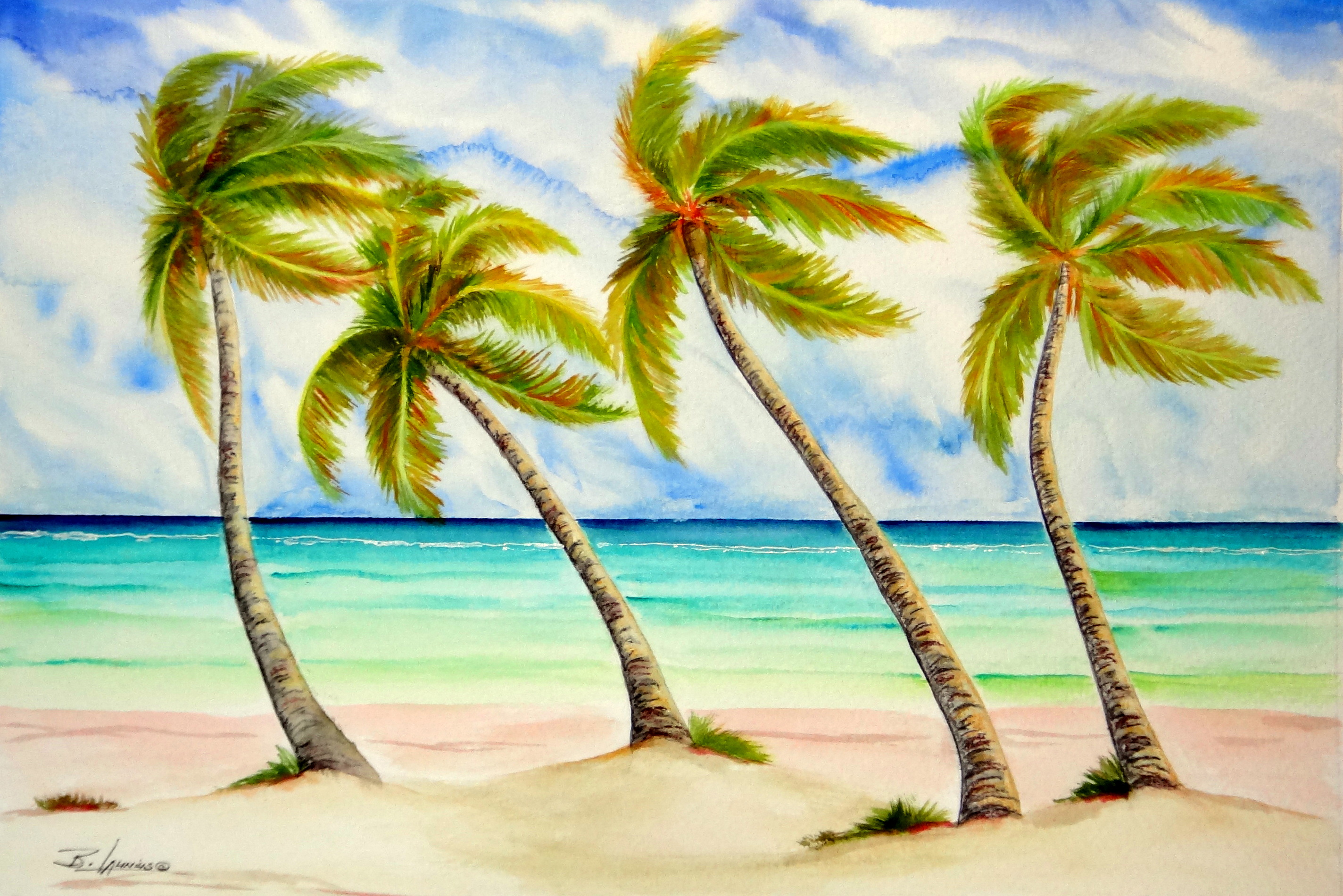 2848x1900 Caribbean Colors