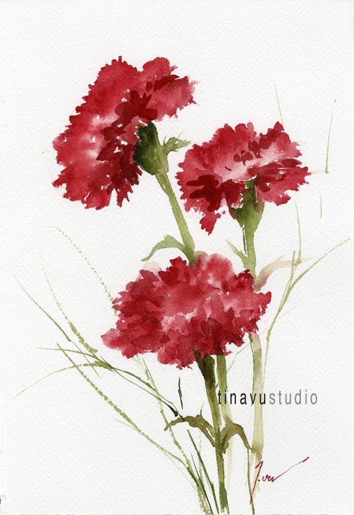 507x737 January Birthday Flowers. Sale 50% Off Price. Red Carnation