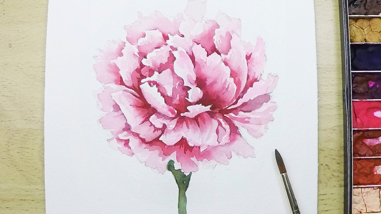 1280x720 Lvl4] How To Paint A Carnation Flower In Watercolor