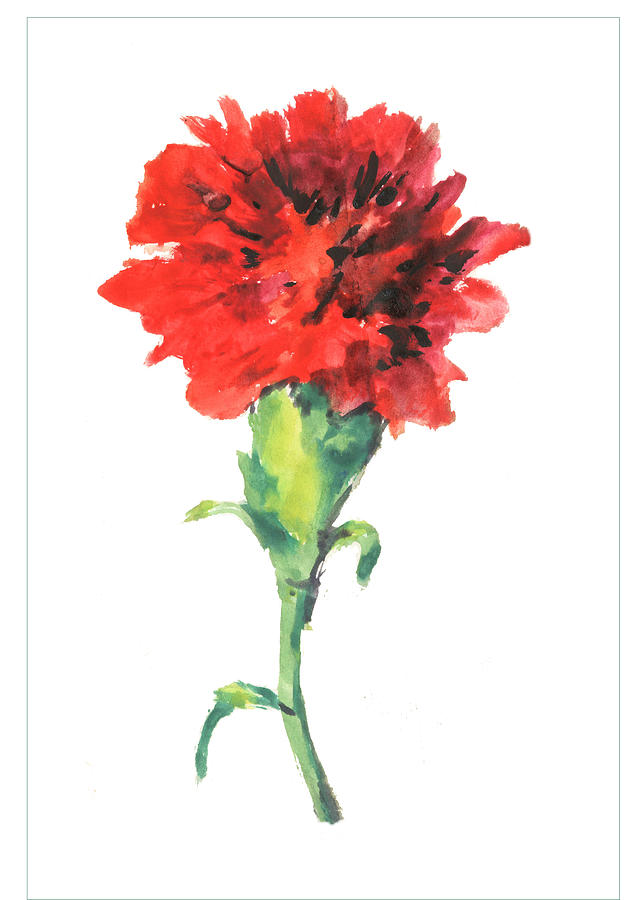 642x900 One Red Carnation Painting By Lily Lily