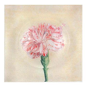 359x357 Trinket Bowl Watercolor Carnation Reprotique