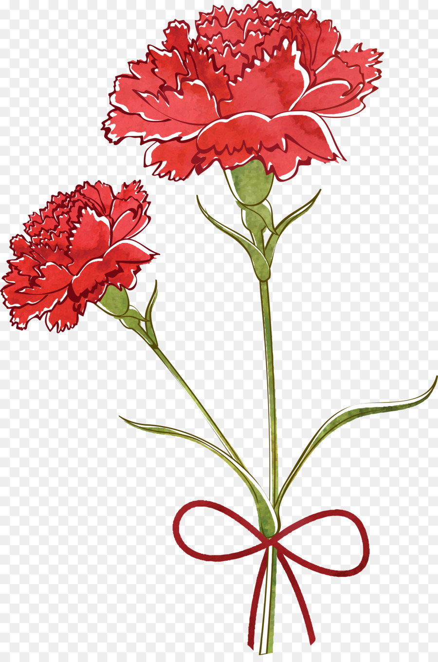 900x1360 Carnation Flower Drawing Watercolor Painting