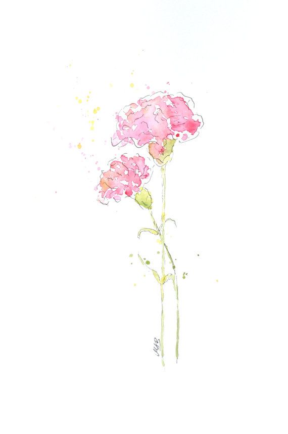 570x858 Watercolor Carnation Flower Painting Original By Mabartstudio