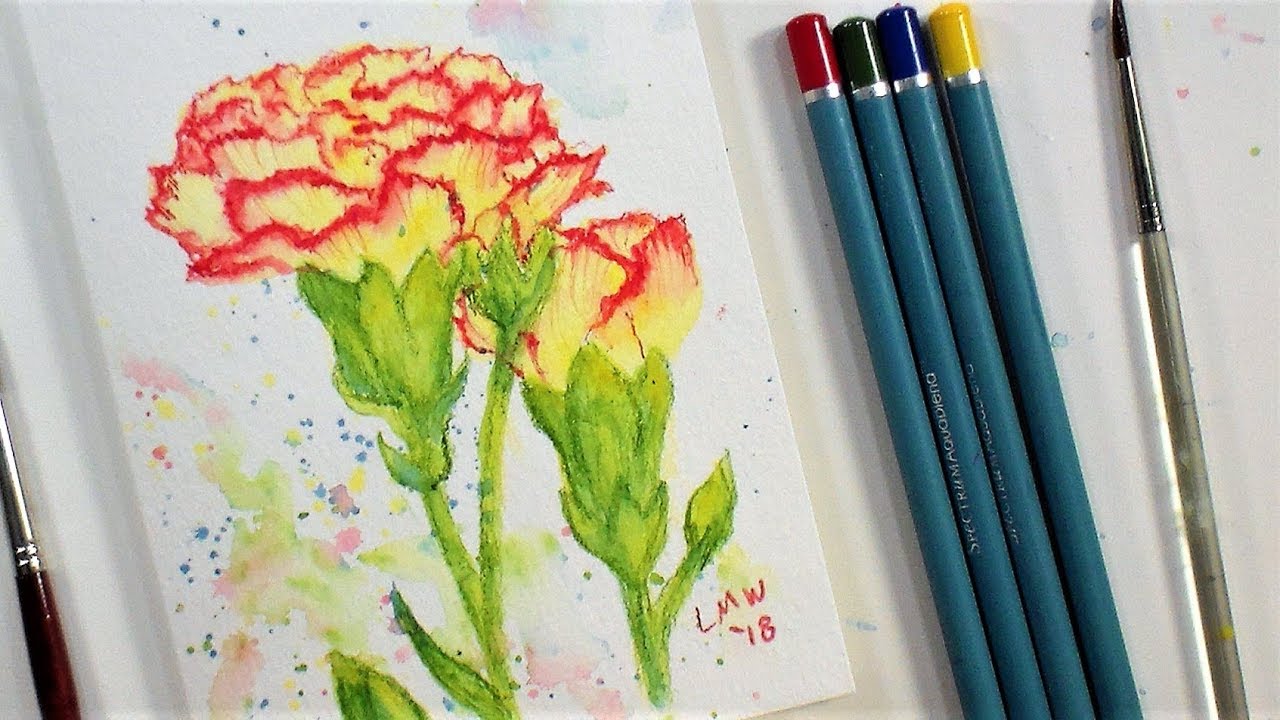 1280x720 Carnation Flower Real Time Beginner Watercolor Pencil Tutorial