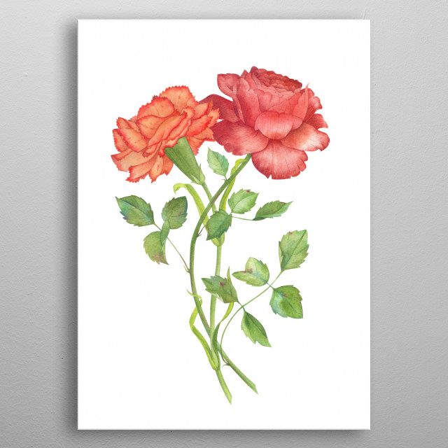 640x640 Carnation And Rose Watercolor... By Olga Chuykova Metal Posters