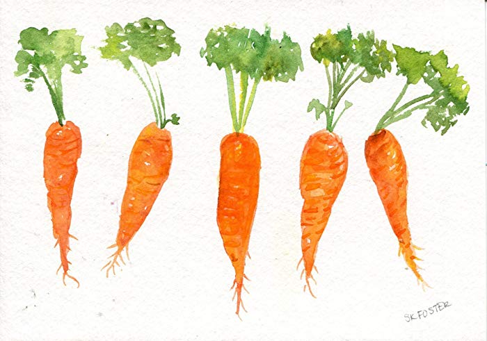 700x491 Carrots Watercolors Paintings Original Vegetables, 5 X