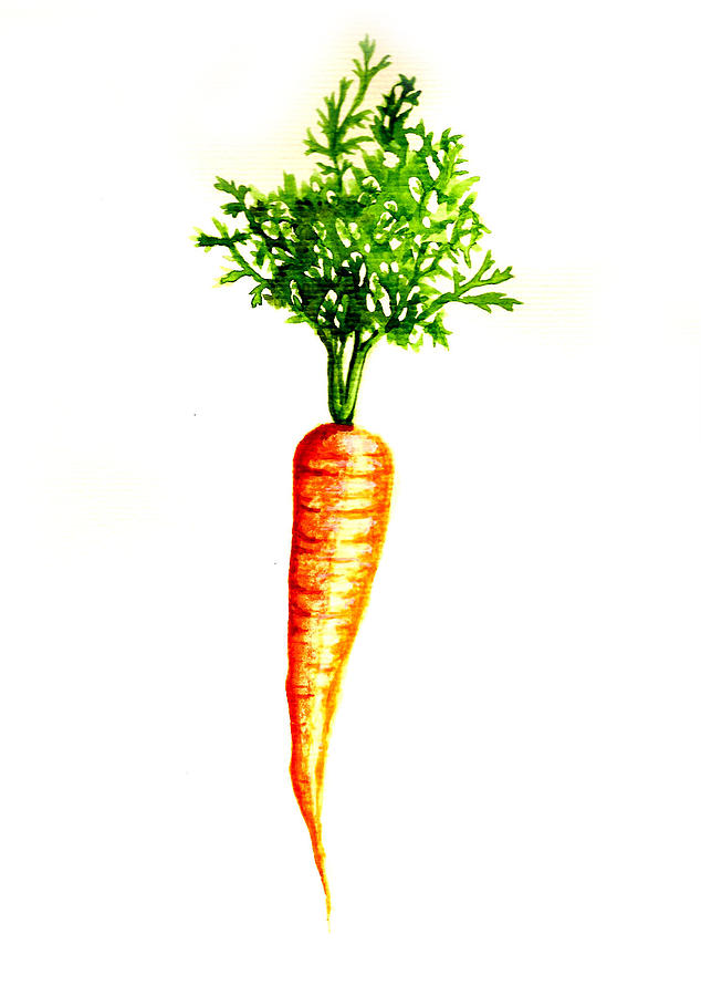 634x900 The Big Carrot Painting By Julie Lamb