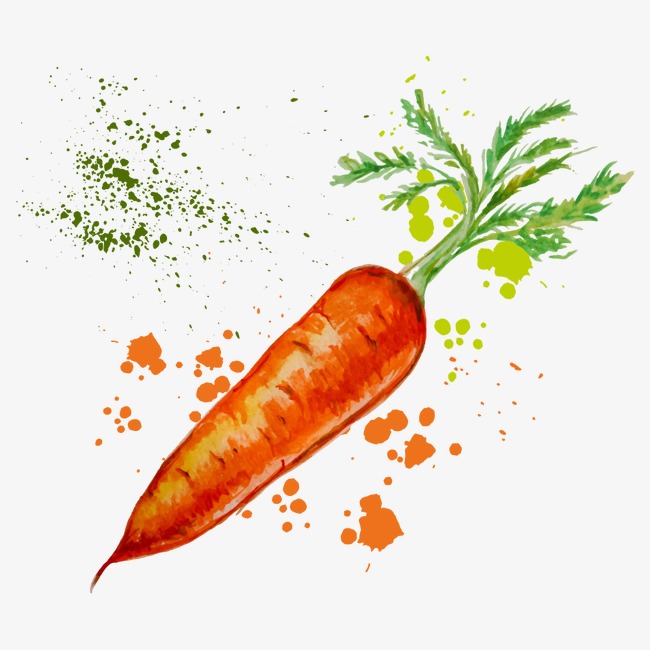 650x650 Vector Drawing Carrot, Watercolor Vegetables, Vector Vegetables