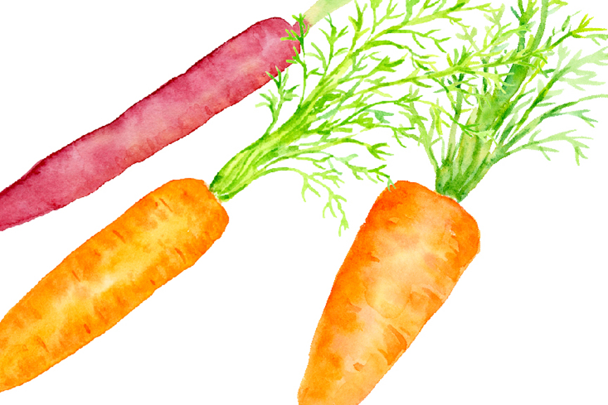 864x576 Watercolor Carrot Illustration By Cornercroft
