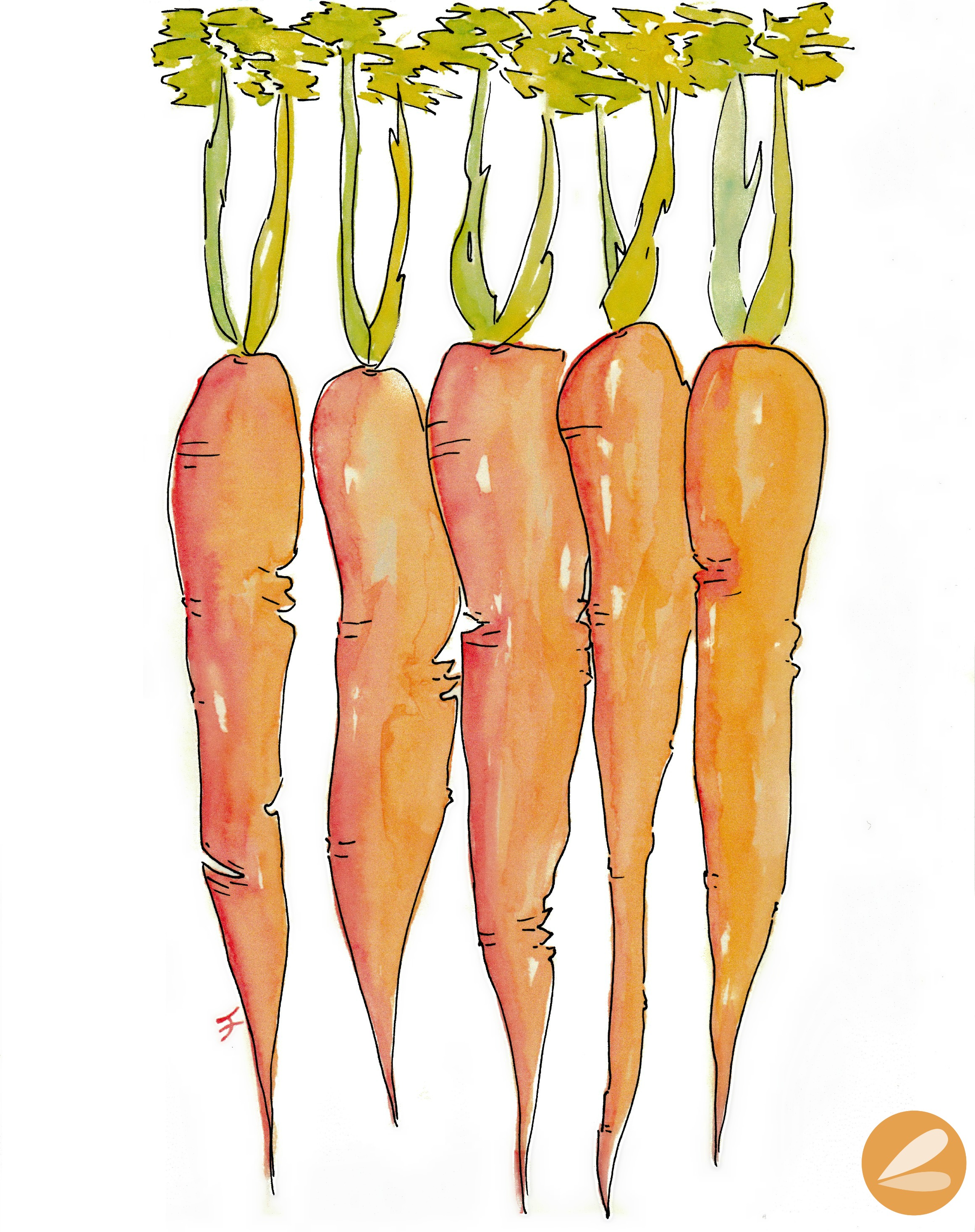 2322x2934 Watercolor Carrot Printable Dragonfly Designs