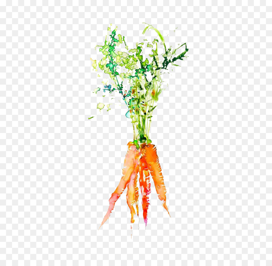 900x880 Watercolor Painting Vegetable Graphic Design Illustration
