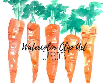 340x270 Carrot Watercolor Etsy
