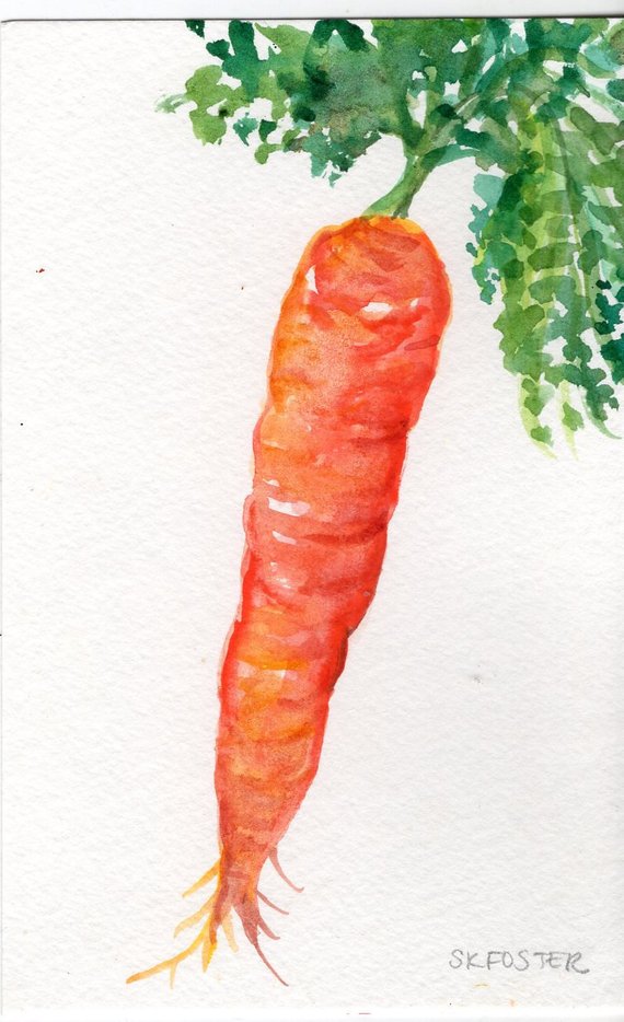 570x934 Carrot Watercolor Paintings Original 4 X 6 Vegetable Artwork Etsy