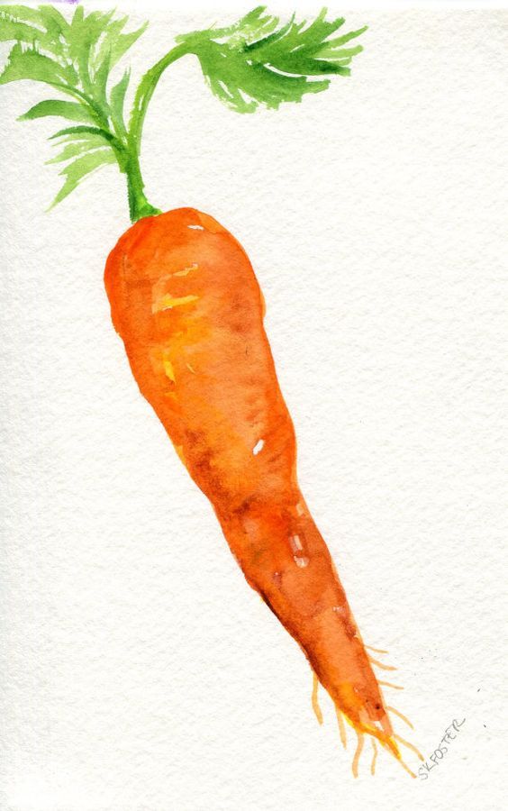 564x900 Carrot Watercolor Paintings Original 4 X 6 Vegetable Artwork