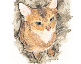 340x270 Cat Watercolor Etsy