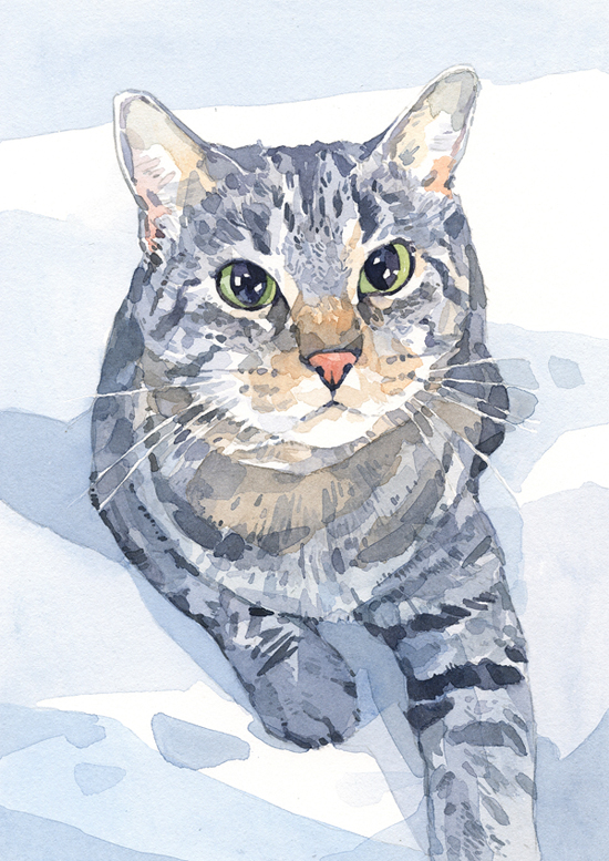 550x777 Cat Watercolor Paintings