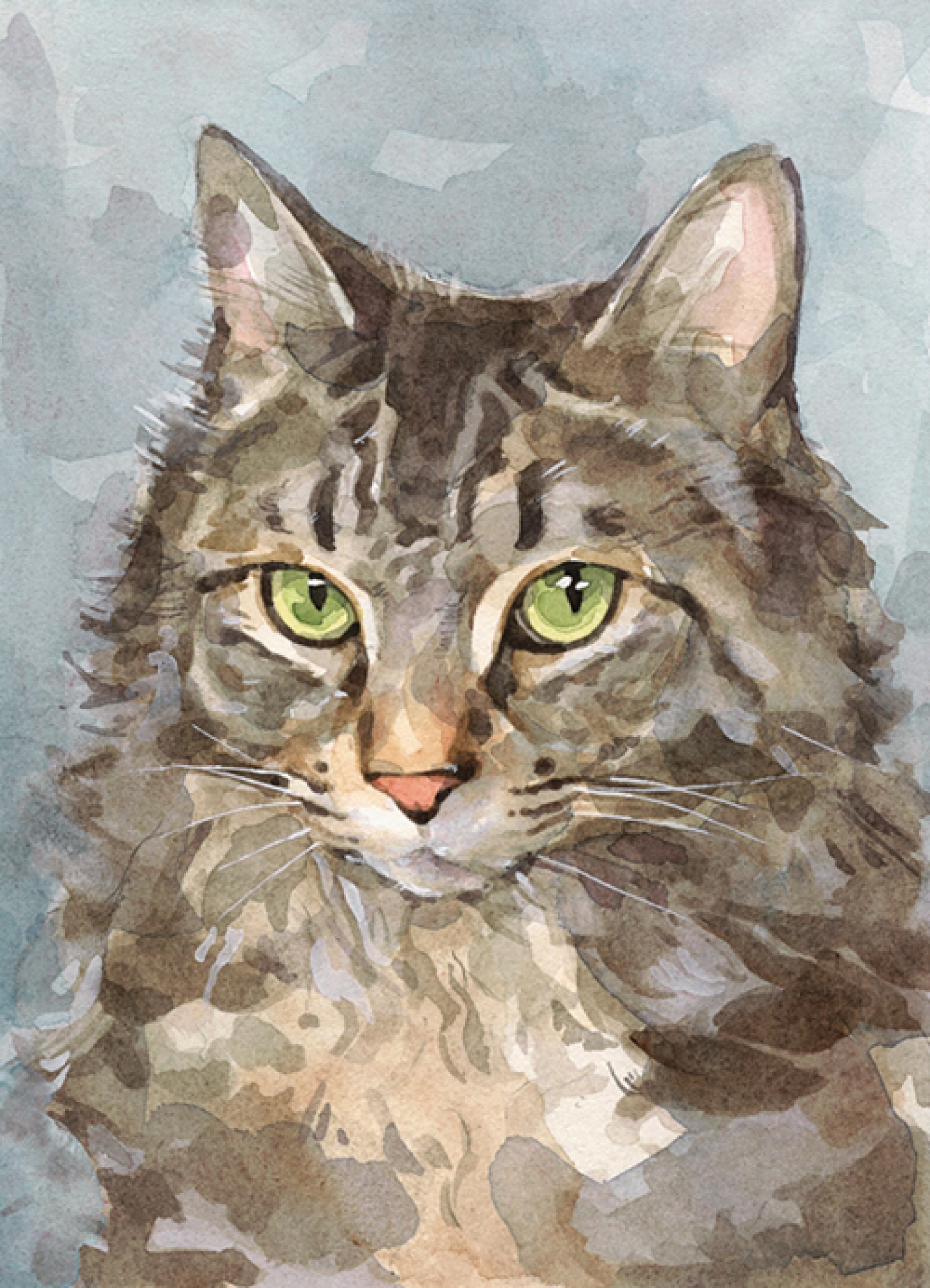 1600x2214 Custom Cat Portrait Watercolor Painting 5x7 David Scheirer