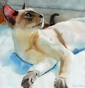292x300 Giclee Print Of Siamese Cat Watercolor Art Painting Lilac Point