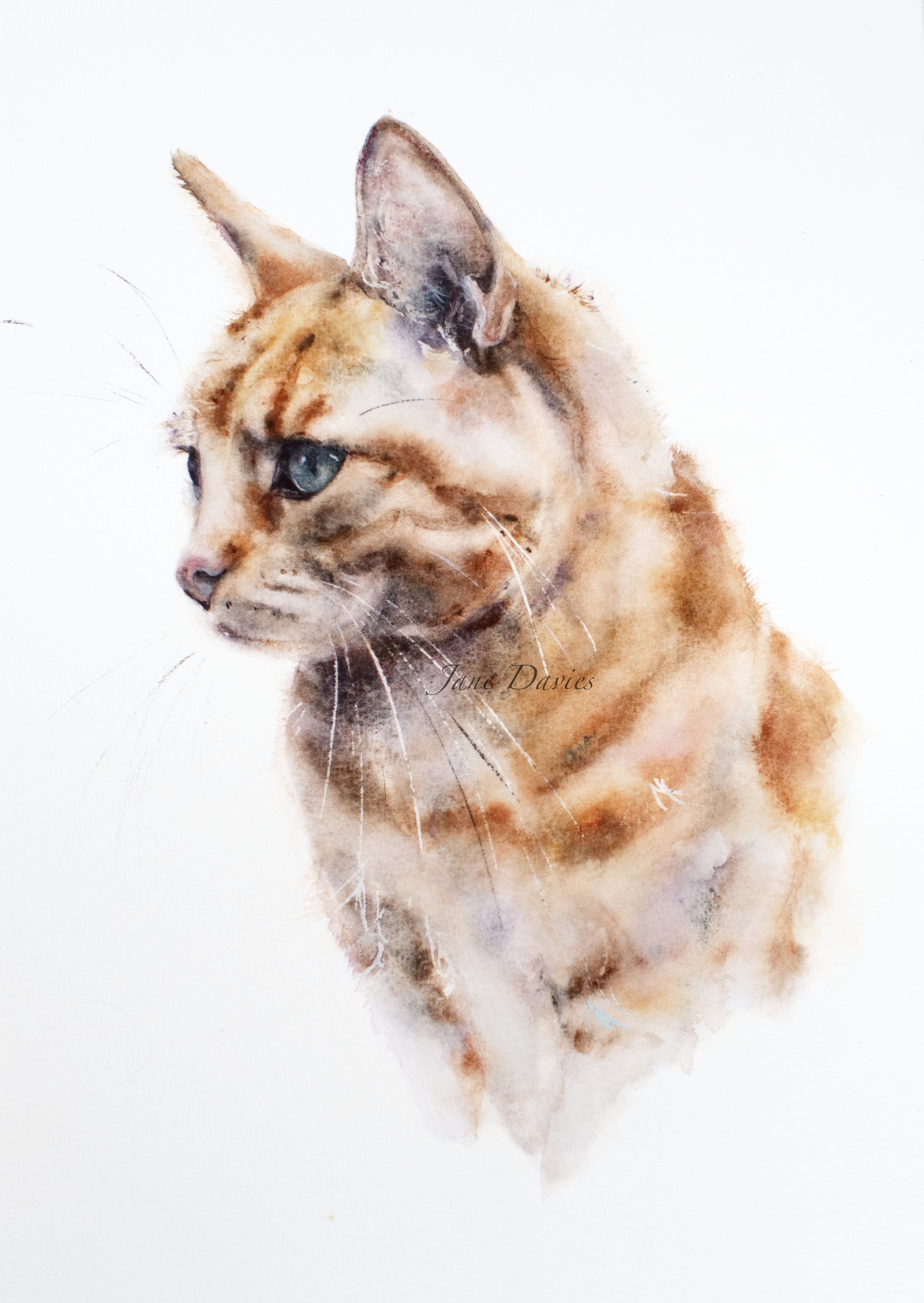 3522x4969 Pet Portrait Of A Ginger Cat, Painted By Watercolour Artist Jane